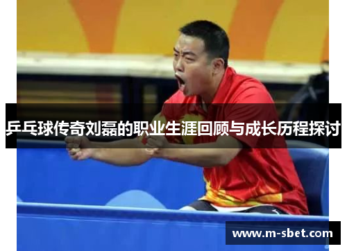 乒乓球传奇刘磊的职业生涯回顾与成长历程探讨