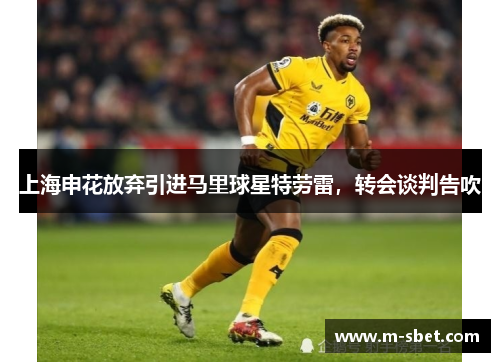 上海申花放弃引进马里球星特劳雷，转会谈判告吹