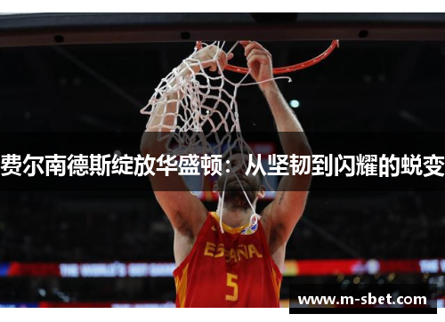 费尔南德斯绽放华盛顿：从坚韧到闪耀的蜕变
